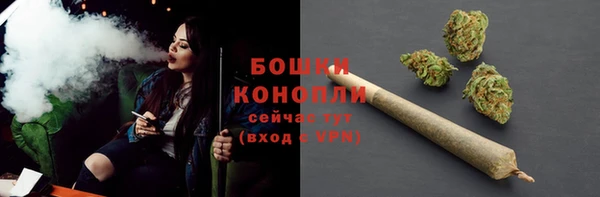 ECSTASY Новозыбков