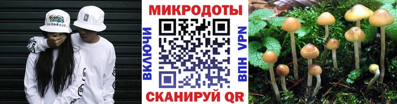mega ONION  Щёлкино  Псилоцибиновые грибы мицелий 