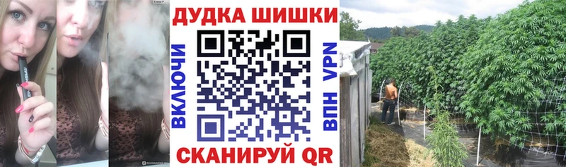 Шишки марихуана гибрид  Щёлкино 